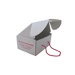 Wholesale Eco-friendly Custom Corrugated Paper Box with Ropes