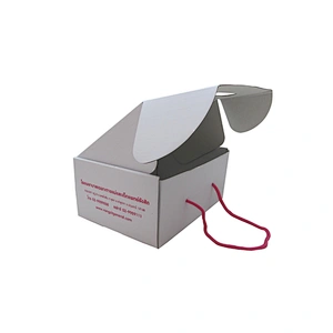 Wholesale Eco-friendly Custom Corrugated Paper Box with Ropes