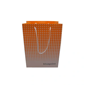 Colorful Sports Wholesale Custom Printed Paper Bag with Handles