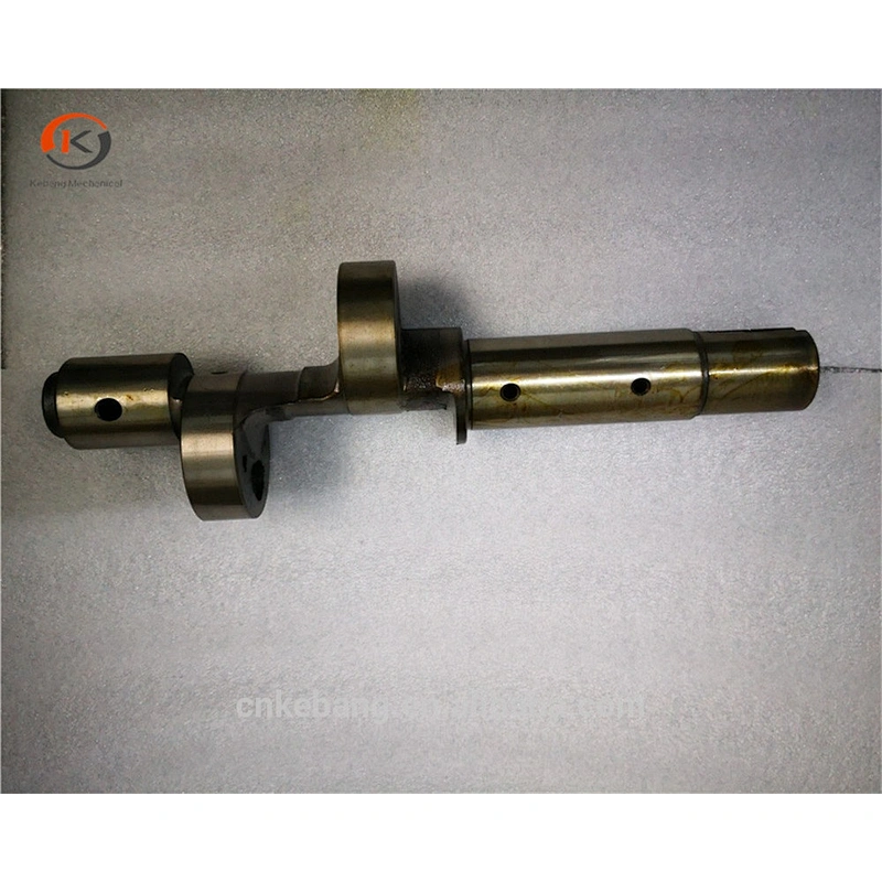 Refrigerator compressor parts crankshaft for Bitzer