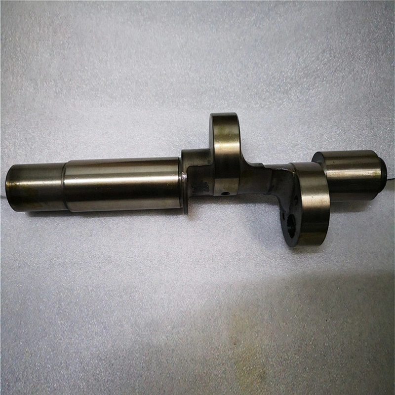 Refrigerator compressor parts crankshaft for Bitzer