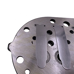 for copeland valve plate DLSG