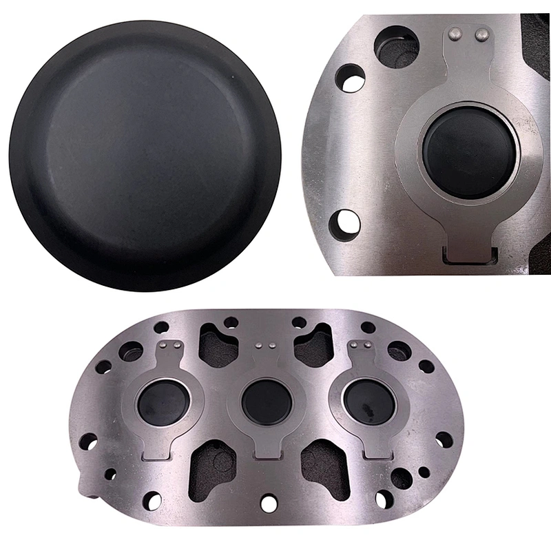 copeland valve plate D3D DISCUS valve plate black peek bar