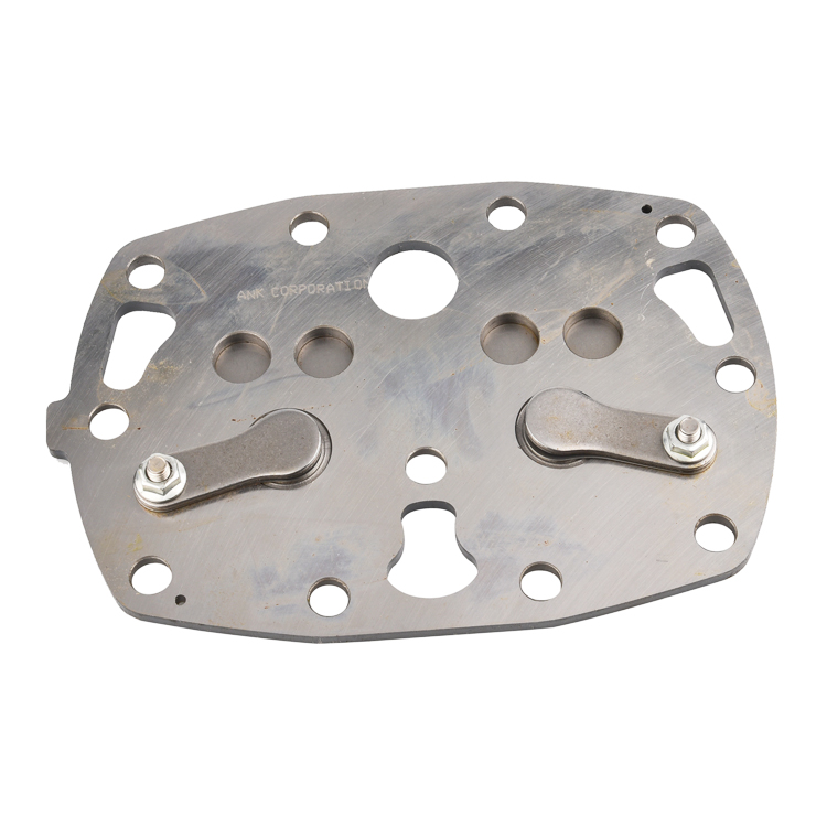 Wholesale Bltzer air compressor valve plate suction valve reeds exhaust valve reed and limiter for 4nfcy