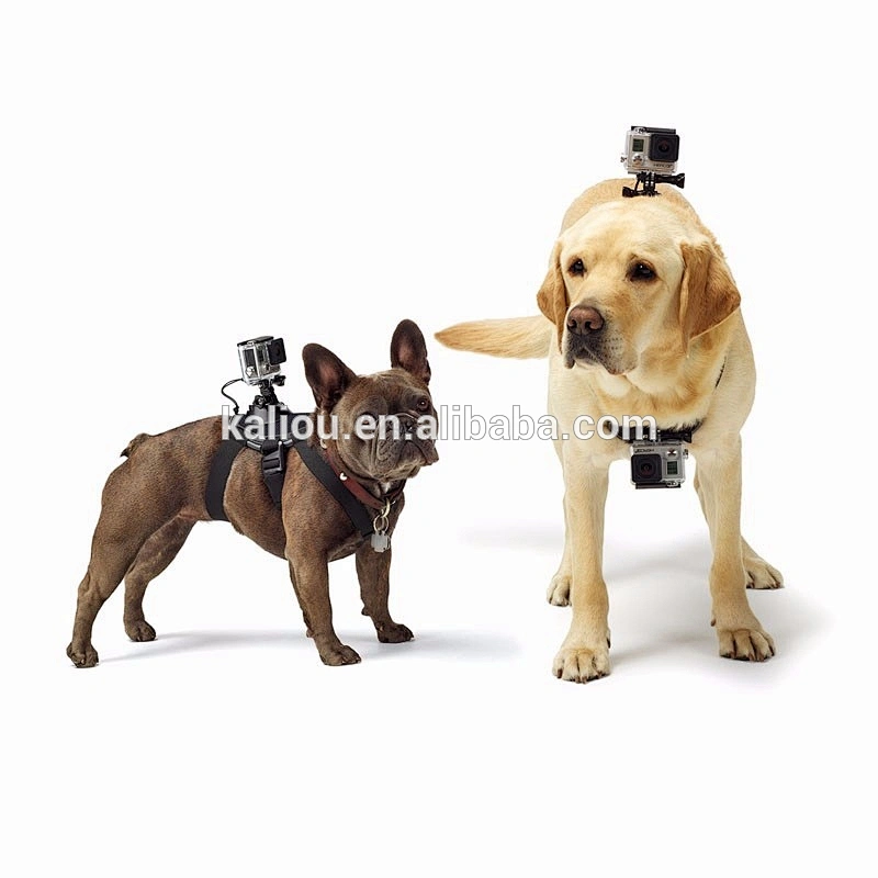 Kaliou Go pro Accessories Dog Fetch Harness Chest Strap For Go pro 7 6 5 4 3 2 1 Sjcams Sj4000 Yi 4K Action Camera Accessory