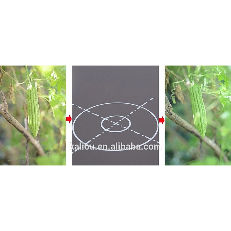 30cm Grey/White Card Focusing Plate for Photograph with high quality