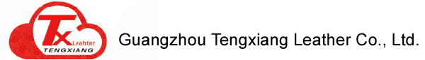 Guangzhou Tengxiang Leather Co., Ltd