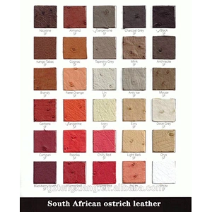 South Africa Ostrich body skin ostrich skin for DRESS 100 real leather