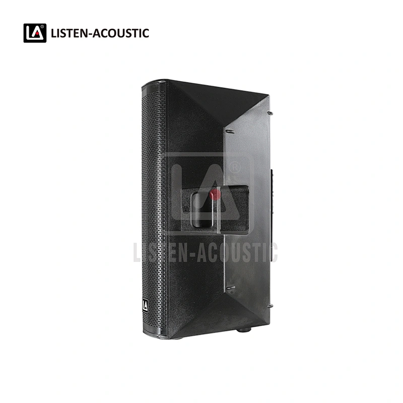PY-10D1 PA Speaker with Class-D BI Amplifier
