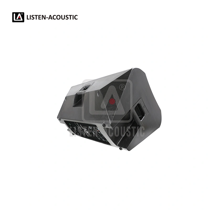 PY-10D1 PA Speaker with Class-D BI Amplifier