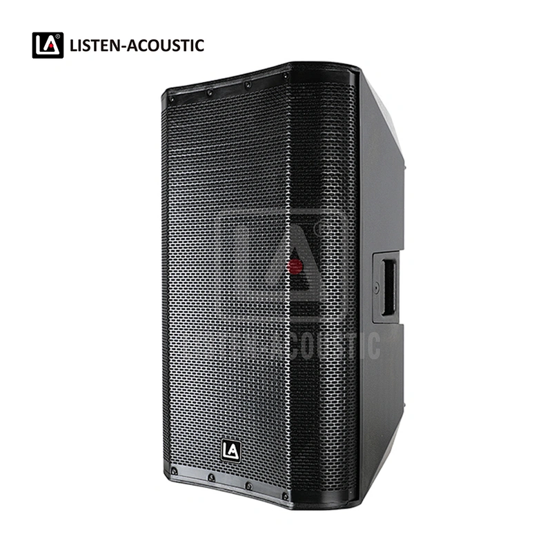 PY-15D1 PA Speaker with Class-D BI Amplifier