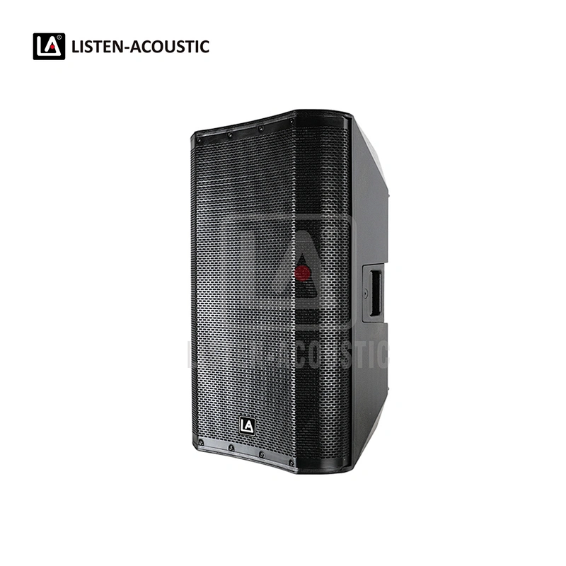 PY-10D1 PA Speaker with Class-D BI Amplifier