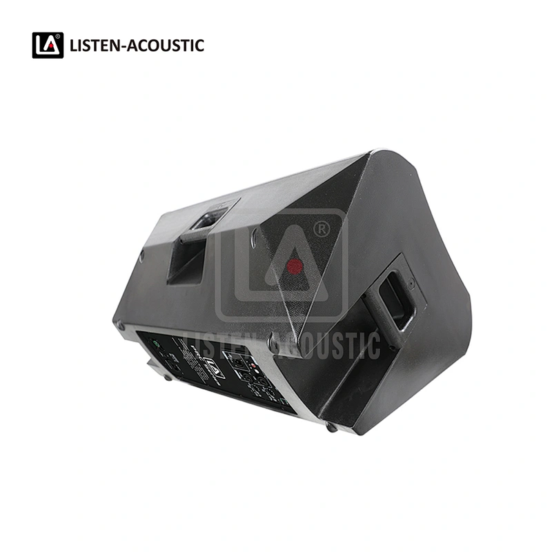 PY-15D1 PA Speaker with Class-D BI Amplifier