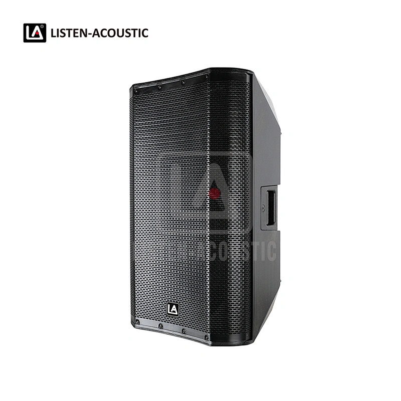 PY-12D1 PA Speaker with Class-D BI Amplifier
