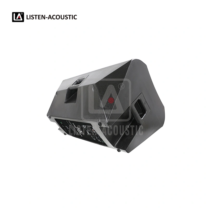 PY-12D1 PA Speaker with Class-D BI Amplifier