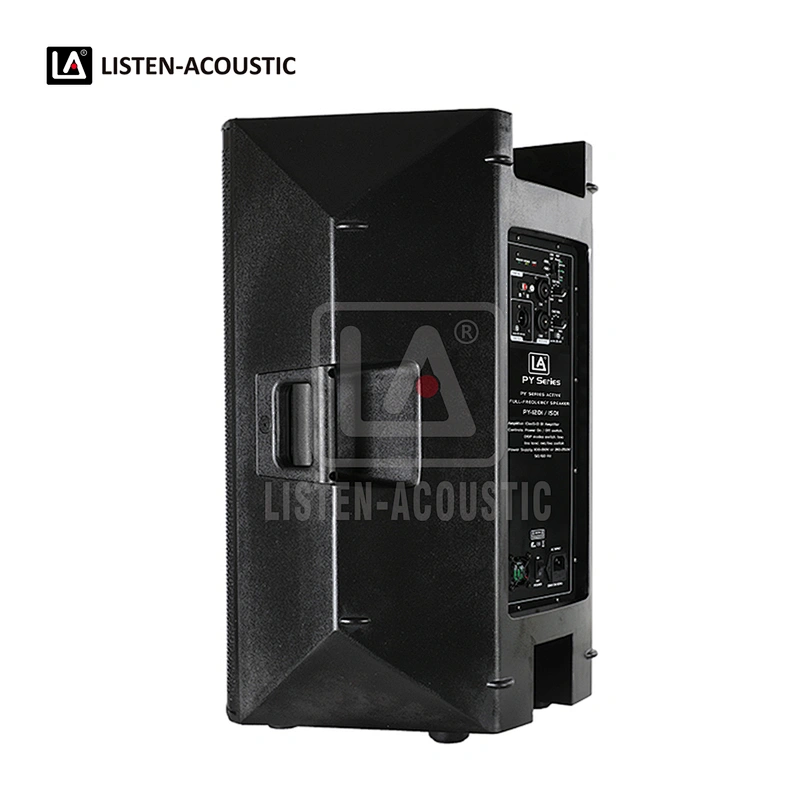 PY-15D1 PA Speaker with Class-D BI Amplifier