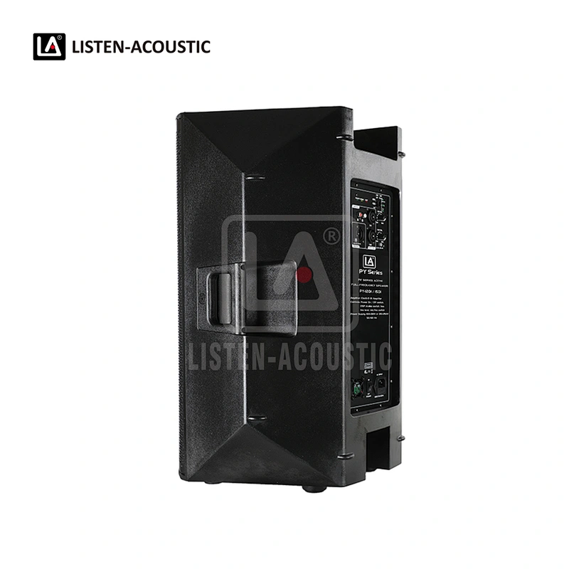 PY-12D1 PA Speaker with Class-D BI Amplifier