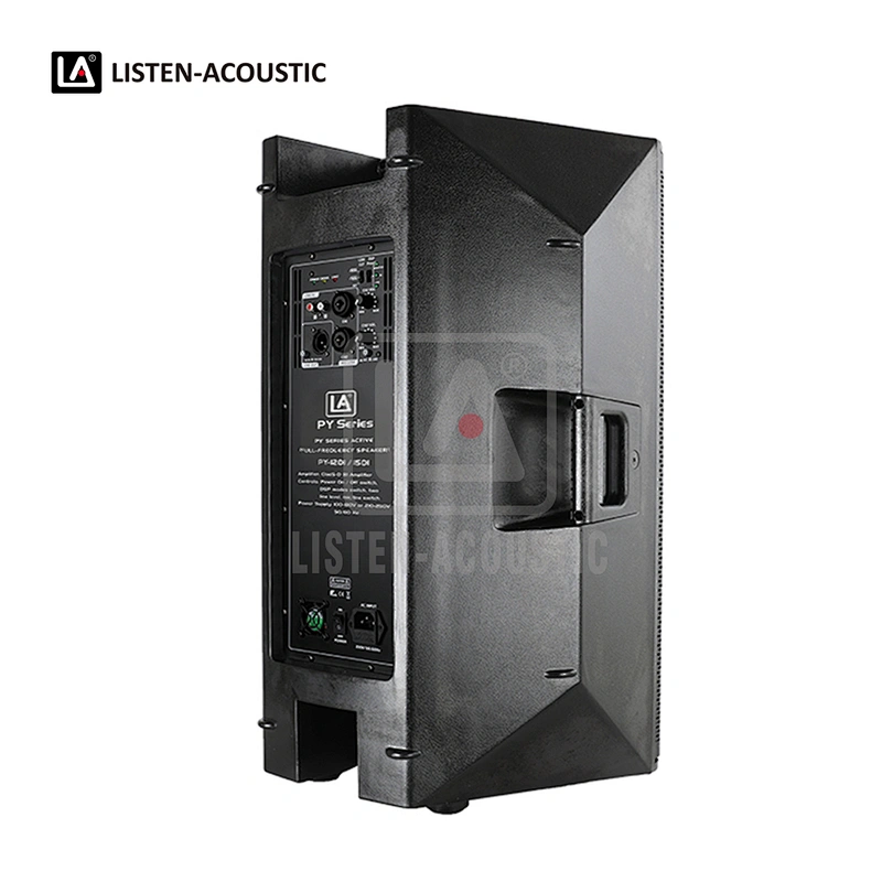 PY-15D1 PA Speaker with Class-D BI Amplifier