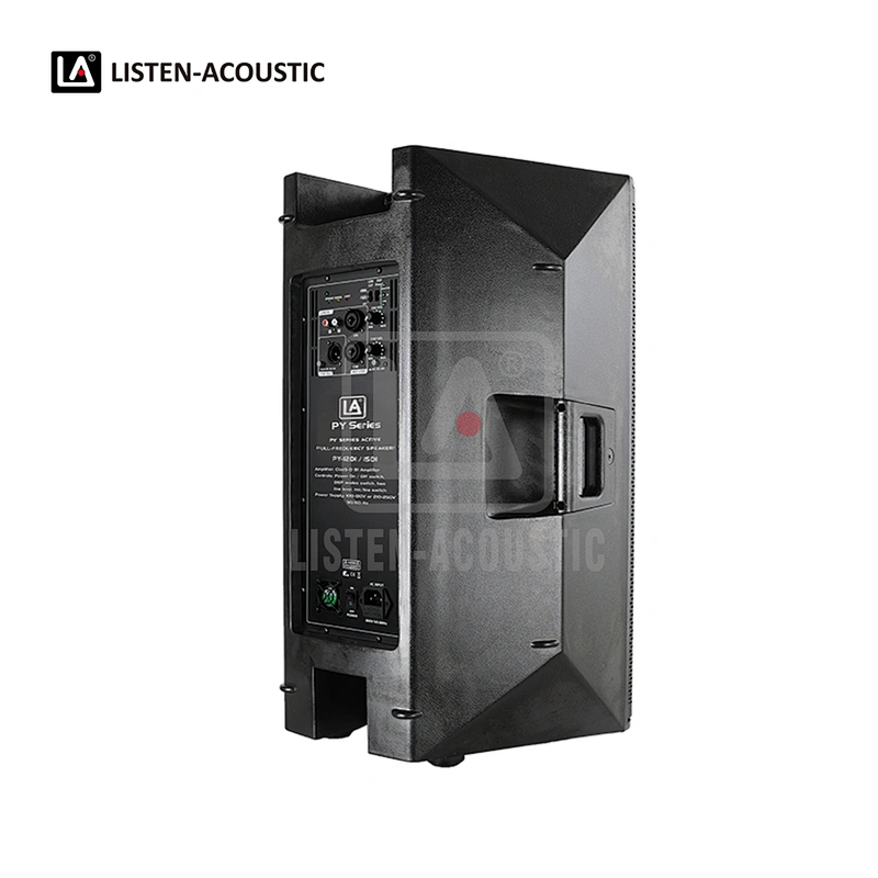 PY-12D1 PA Speaker with Class-D BI Amplifier