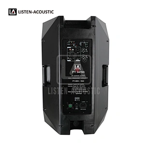 PY-15D1 PA Speaker with Class-D BI Amplifier