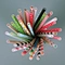 black paper straws