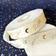 Custom Ribbon