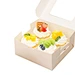 cake carrier