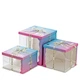 Cake Carrier