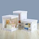 Cake Carrier