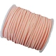 Custom Ribbon