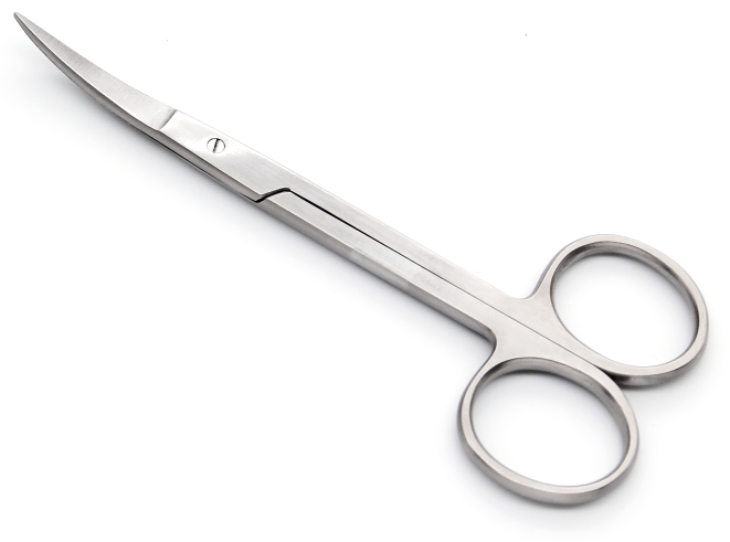 Gingival Scissors