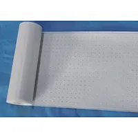Perforated Plaster