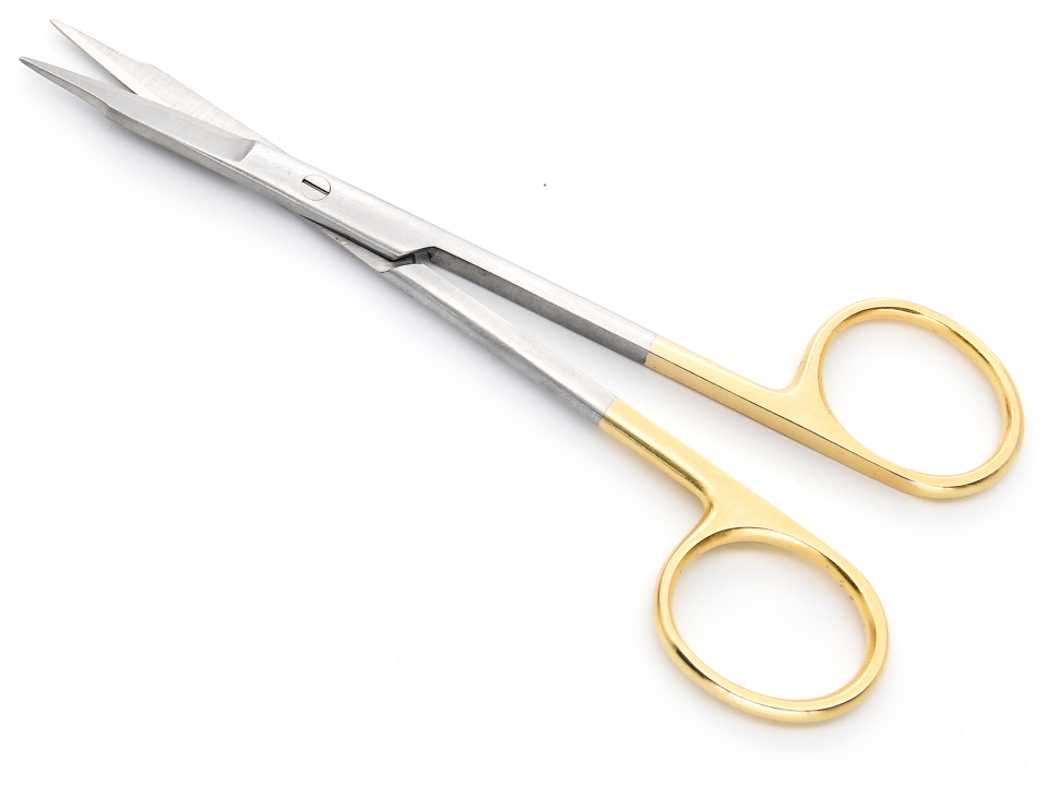Gingival Scissors