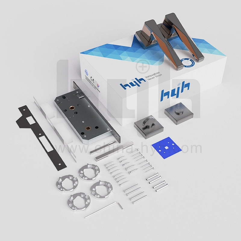 Most Popular New Patent Design Front Door Mortise Lock Set