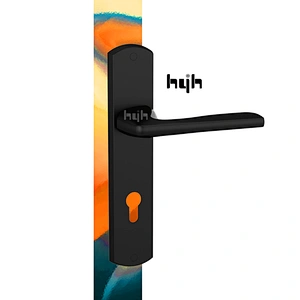 China Manufacturer Modern Special New Door Handle For Wooden Door