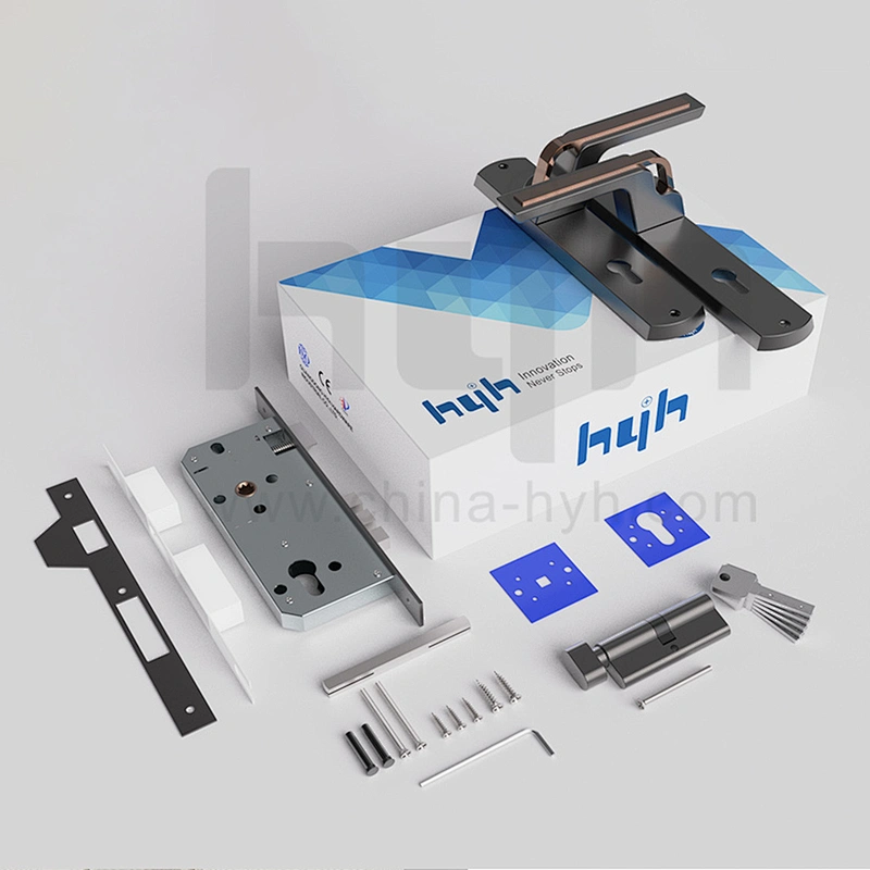 Top Technology European Style Double Side Zinc Alloy Passage Mortise Lock