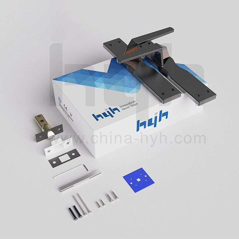 Advanced Security And Good Quality Mortise Lock On Door