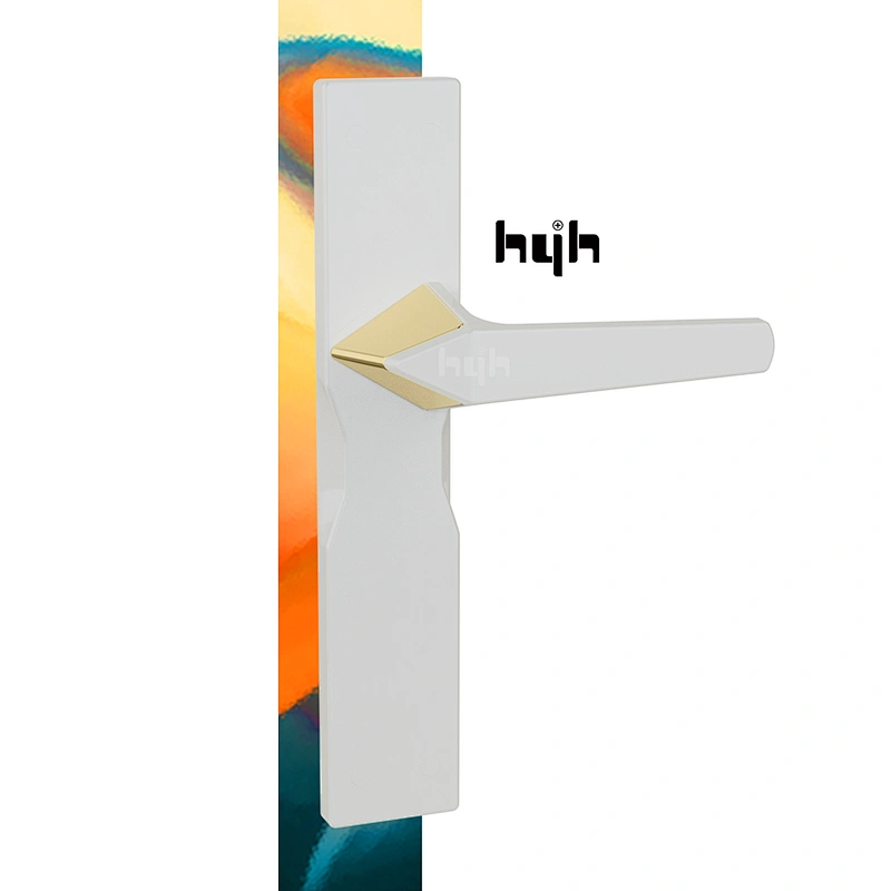 Advanced Security And Good Quality Mortise Lock On Door