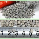 GRANULAR SINGLE SUPER PHOSPHATE ( SSP )