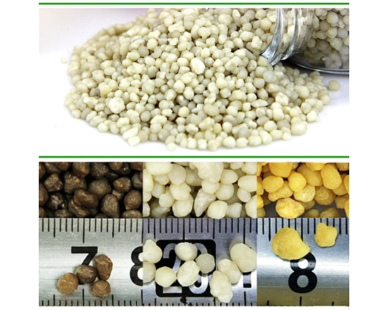 granular dap fertilizer