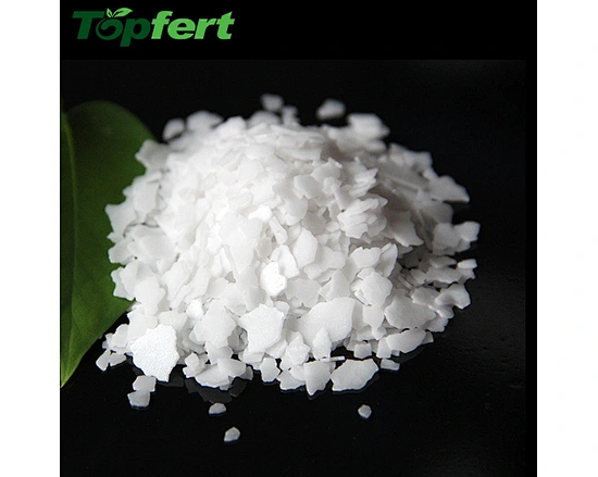 potassium hydroxide caustic potash koh