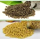 di ammonium phosphate dap