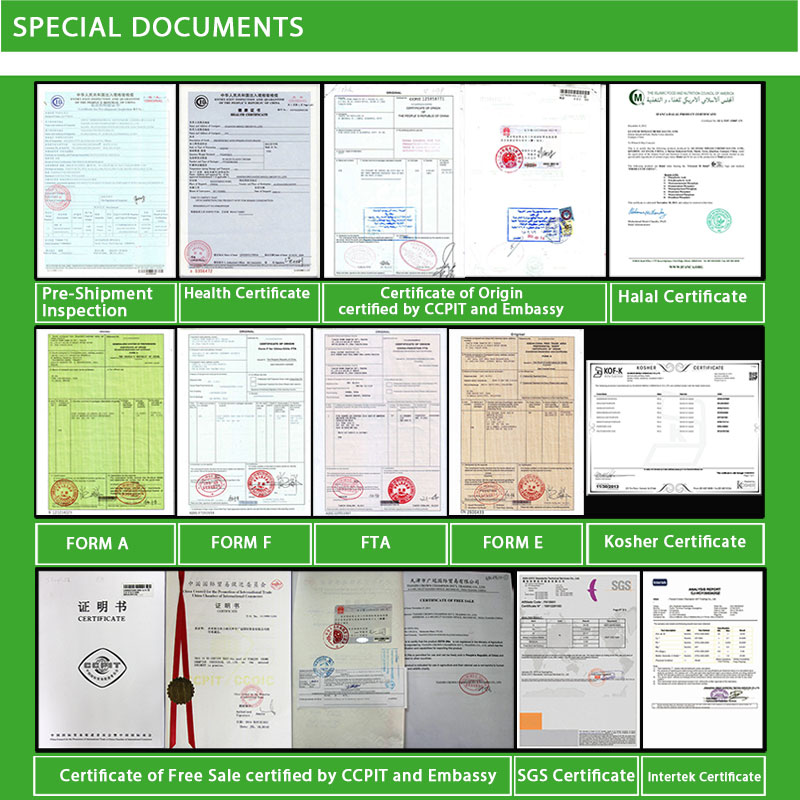 certification.jpg