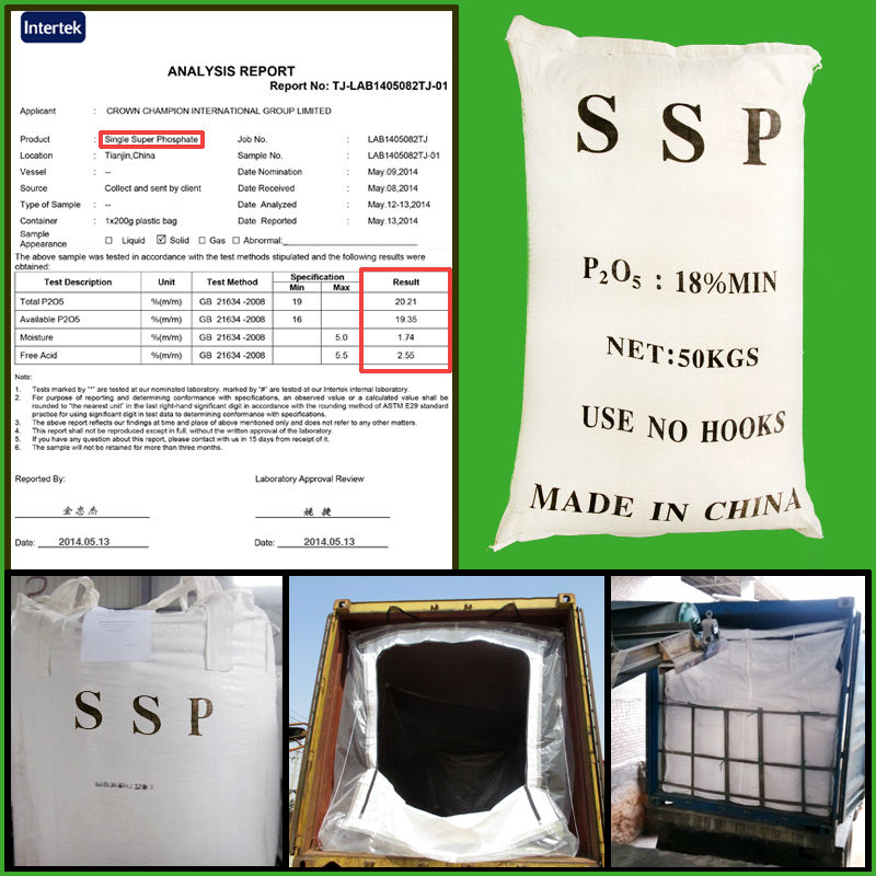 SSP
