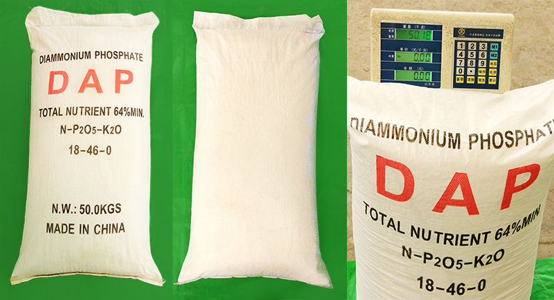 DAP bag