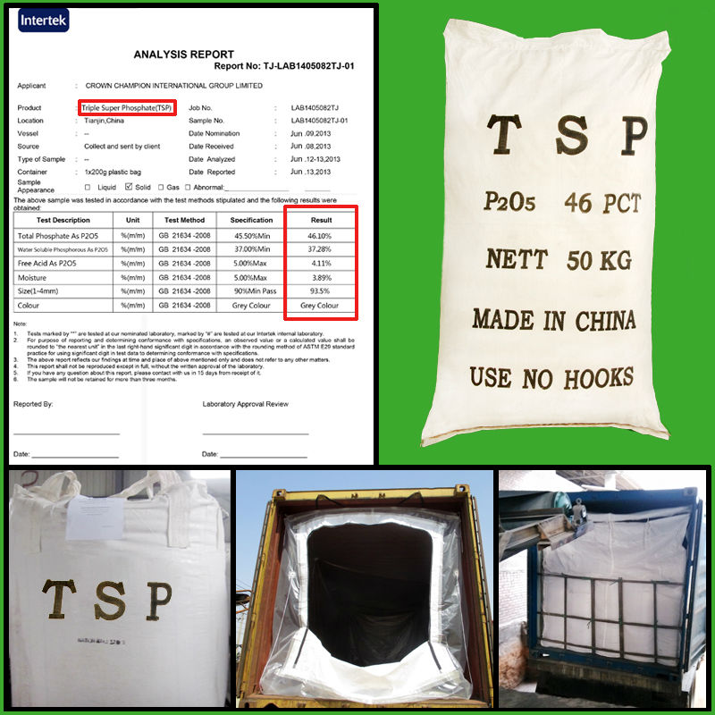 TSP