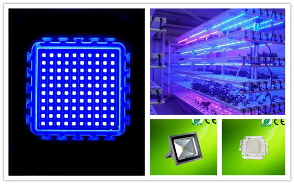 100w blue_