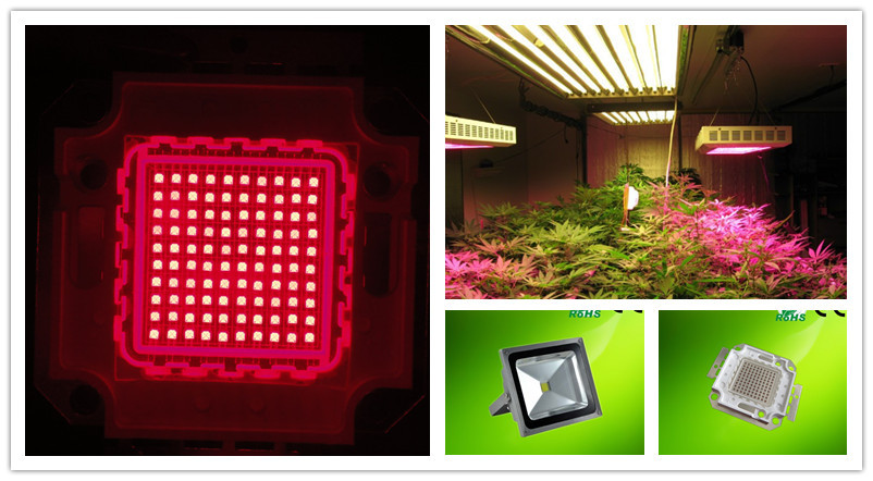 100w red