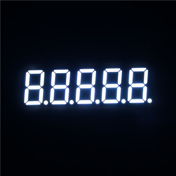 3651-W-
