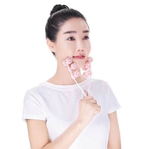 Manufacturer High Quality 6 Plum Blossom Shaped Roller Comfortable Rolling Facial Massager